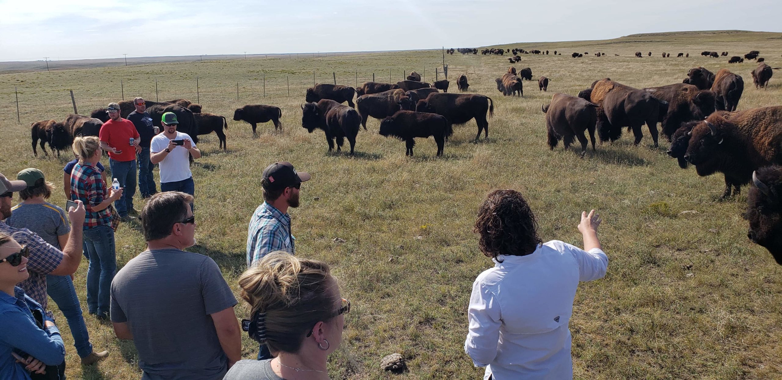 2025 Fall Ranch Tour & Social - Rocky Mountain Bison Association