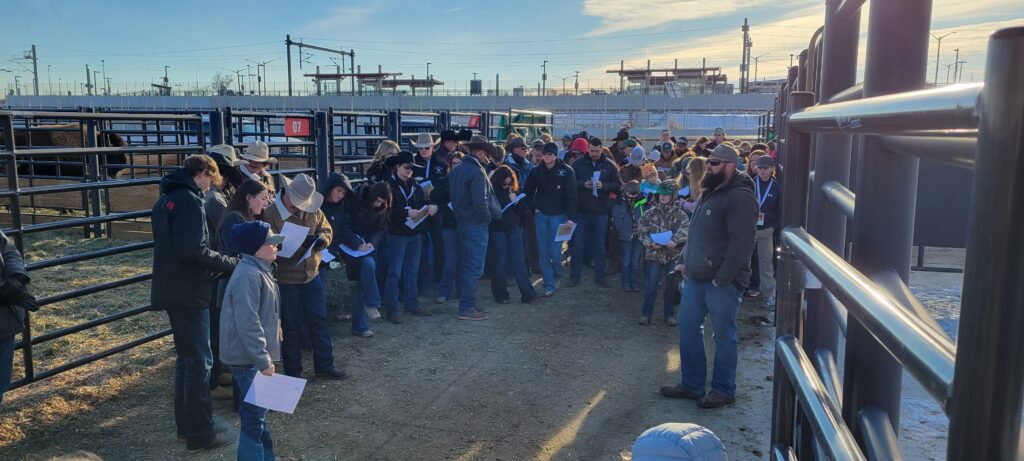 2024 Bison Junior Judging participants gathered for instructions