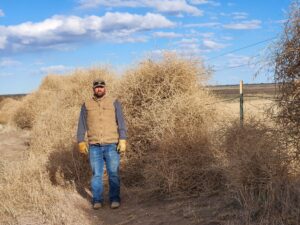 Michael Castle standing next to a tower of tumbleweeds hiding his fence.